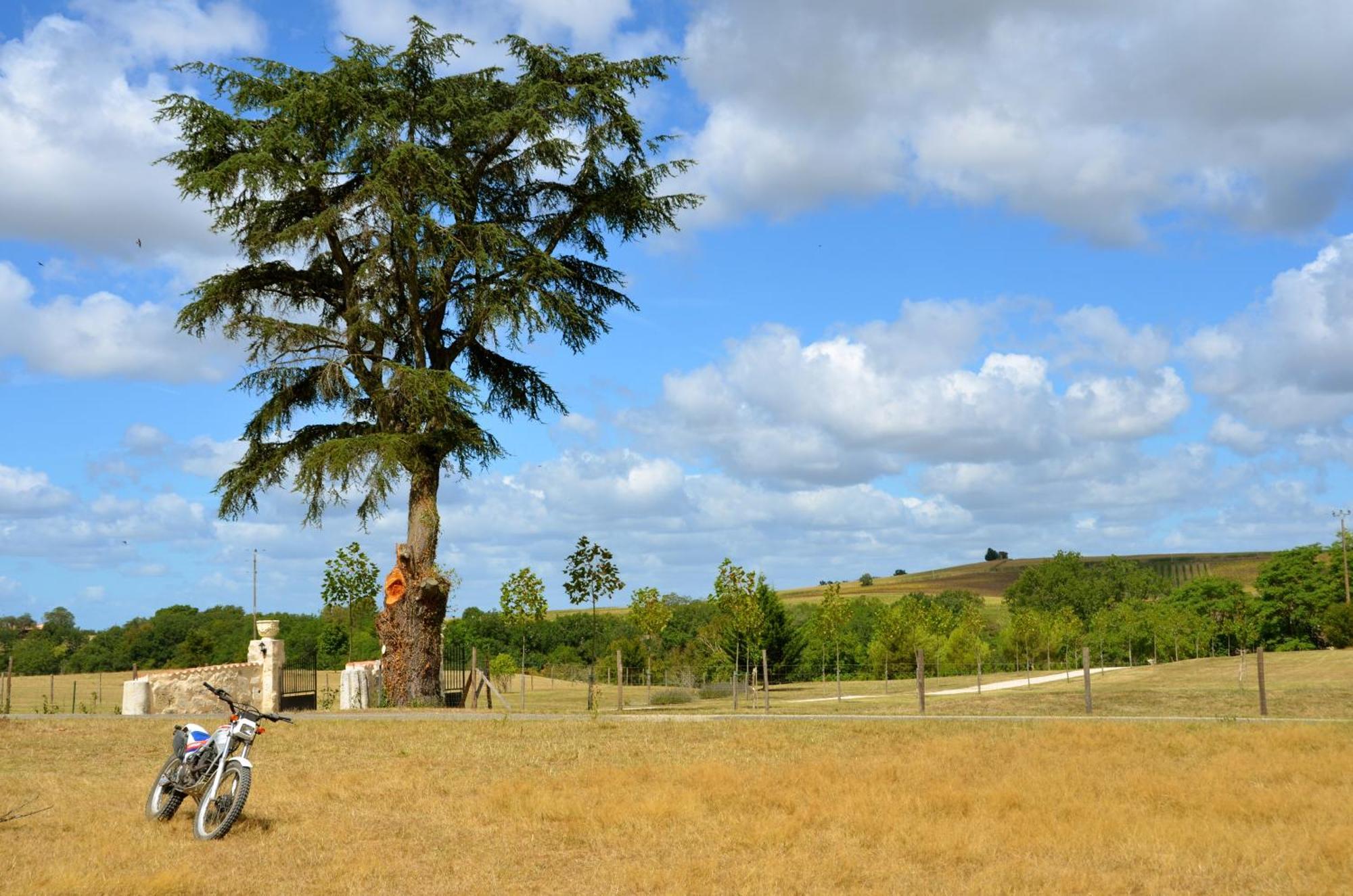 Château de Plèneselve Bon-Encontre Esterno foto