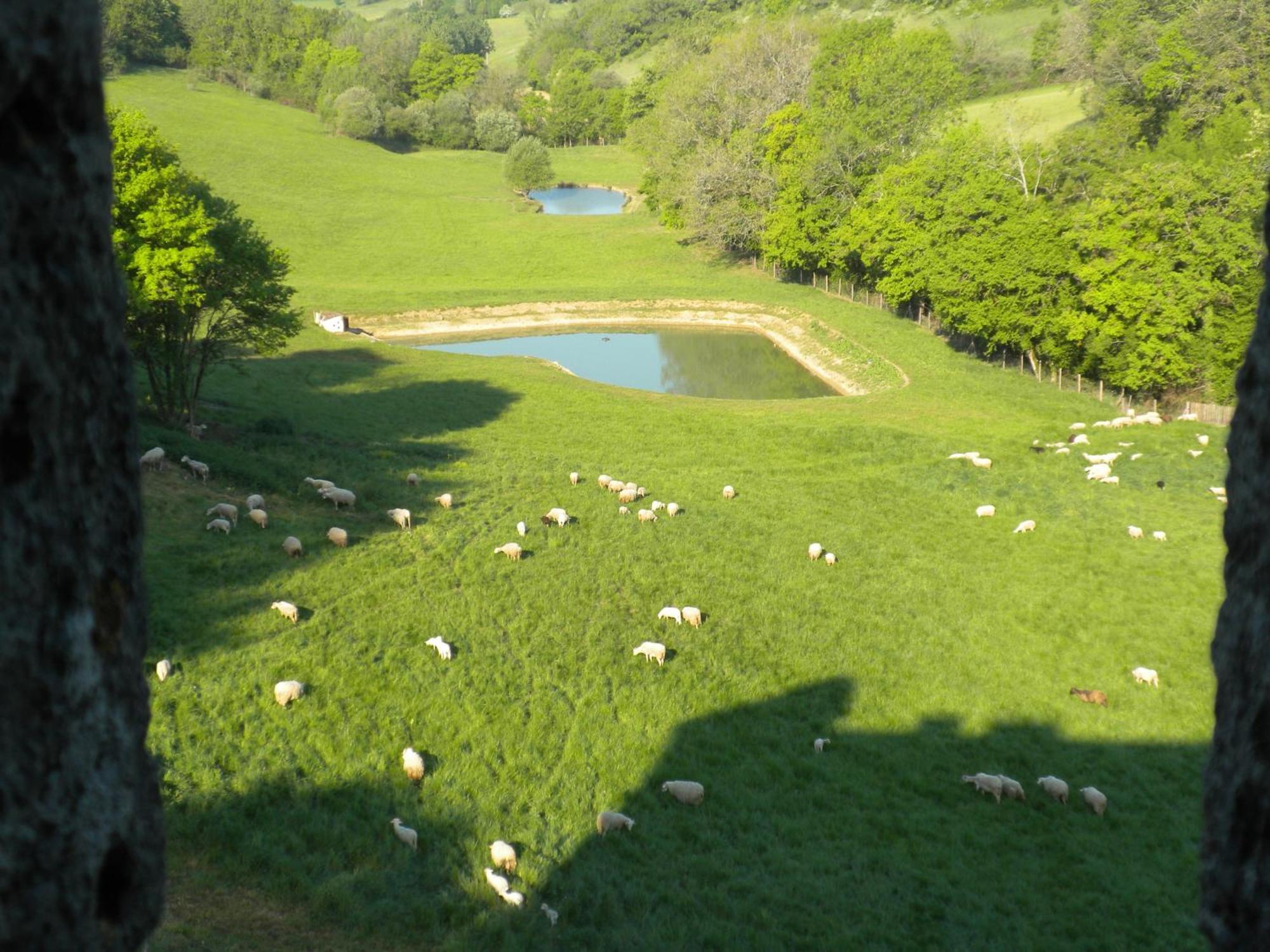 Château de Plèneselve Bon-Encontre Esterno foto