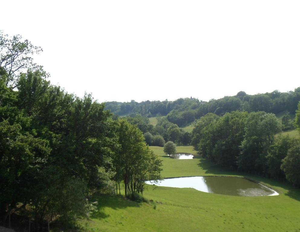 Château de Plèneselve Bon-Encontre Camera foto